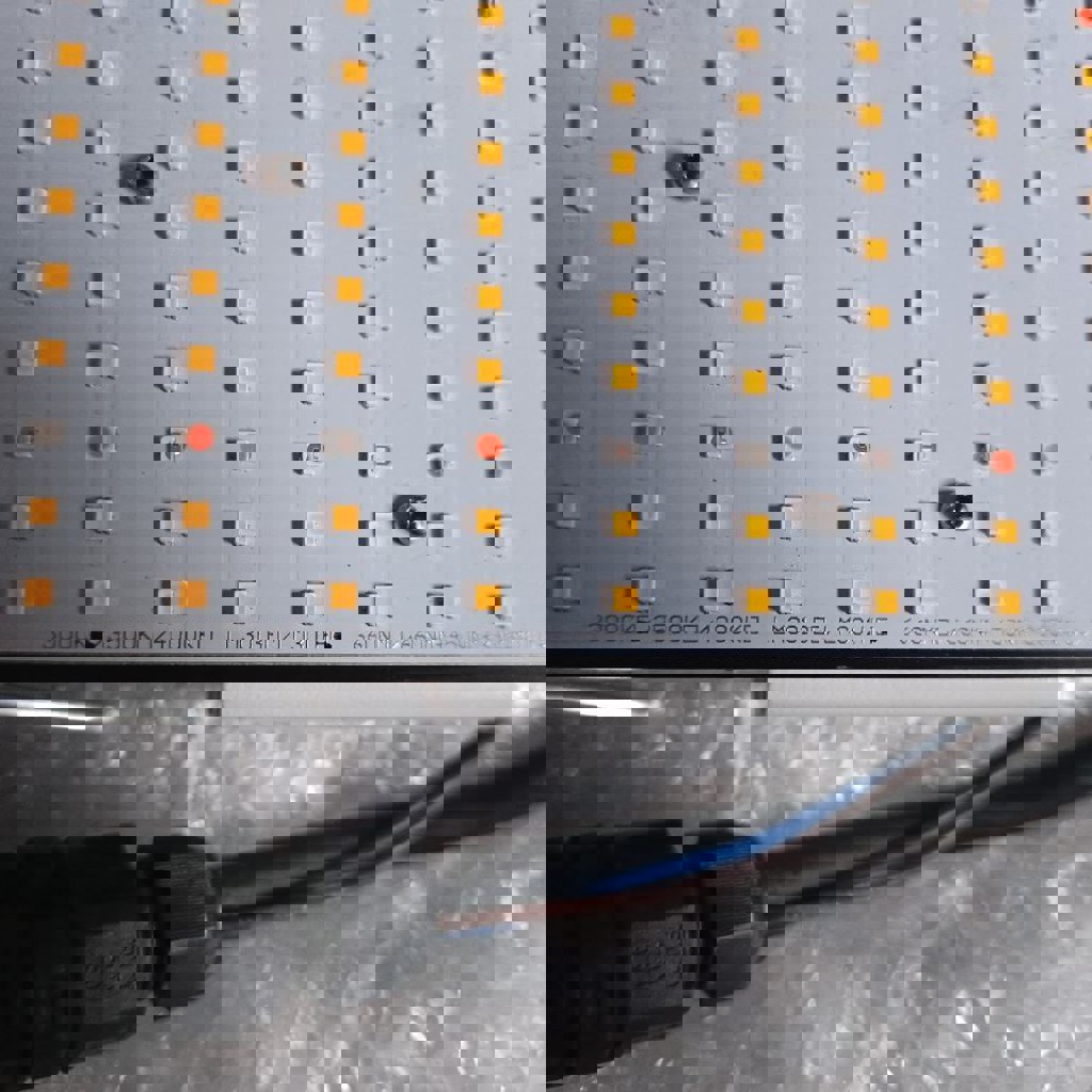 Квантум борд