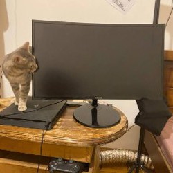 Изогнутый монитор Samsung - фото 2