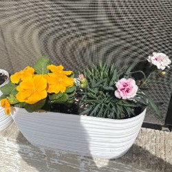 Клубника - фото 2