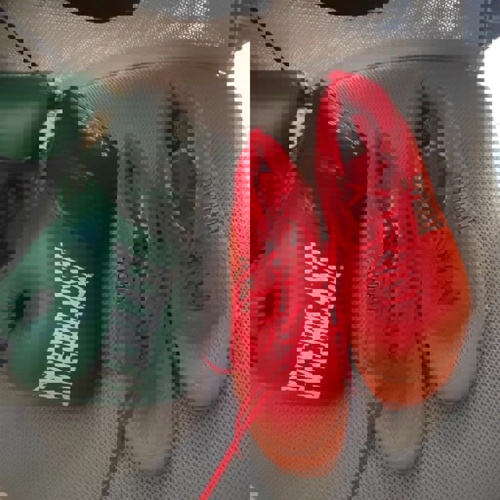 Боксерские перчатки Everlast