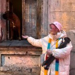 Пуховик terranova - фото 2