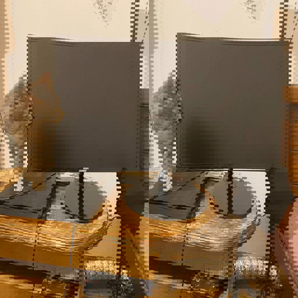 Изогнутый монитор Samsung