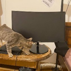 Изогнутый монитор Samsung - фото 2