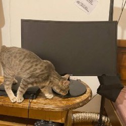 Изогнутый монитор Samsung - фото 3