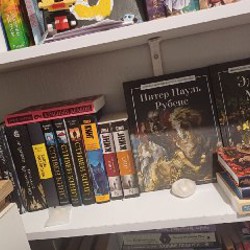 Книги - фото 6