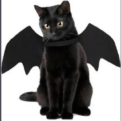 Перчатки из органзы - фото 8