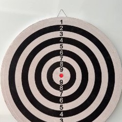 Дартс - фото 2