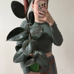 Филодендрон Lemon Lime - фото 7