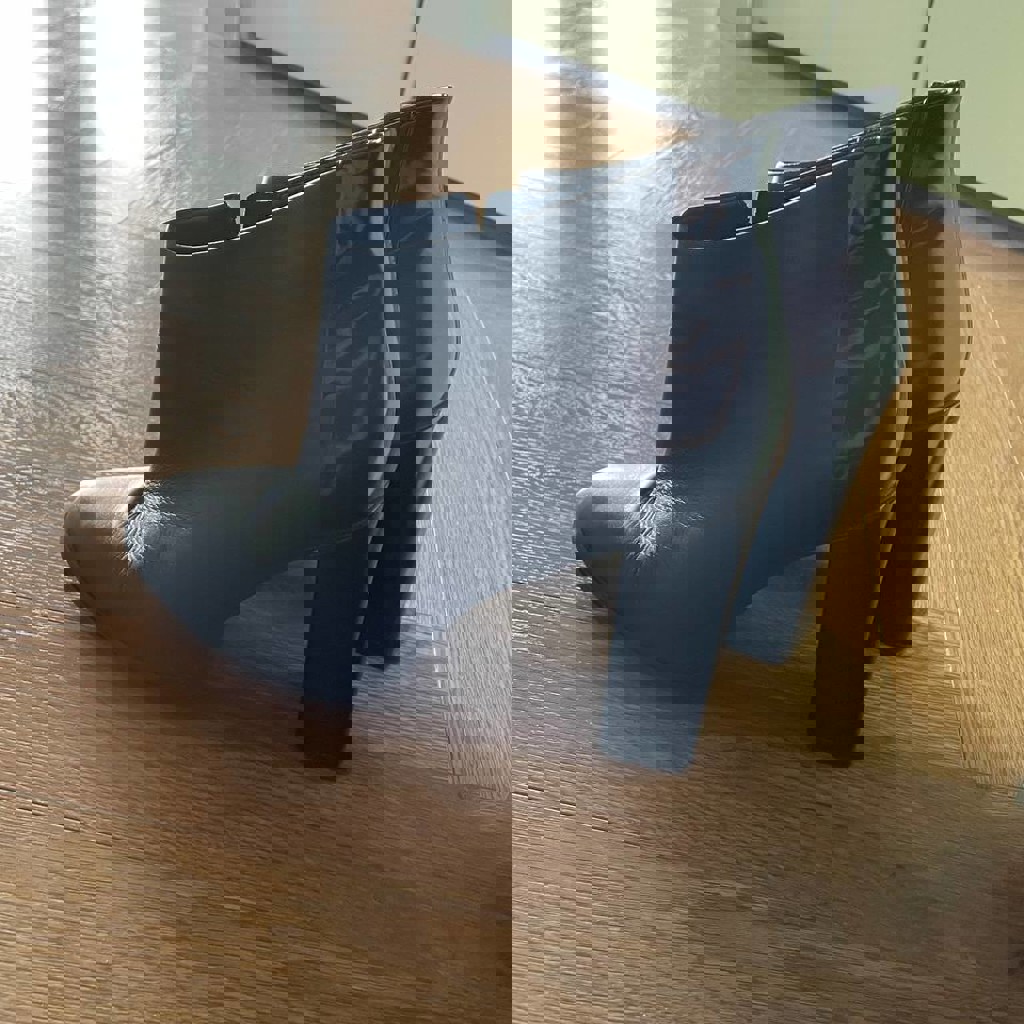 Сапоги Эконика