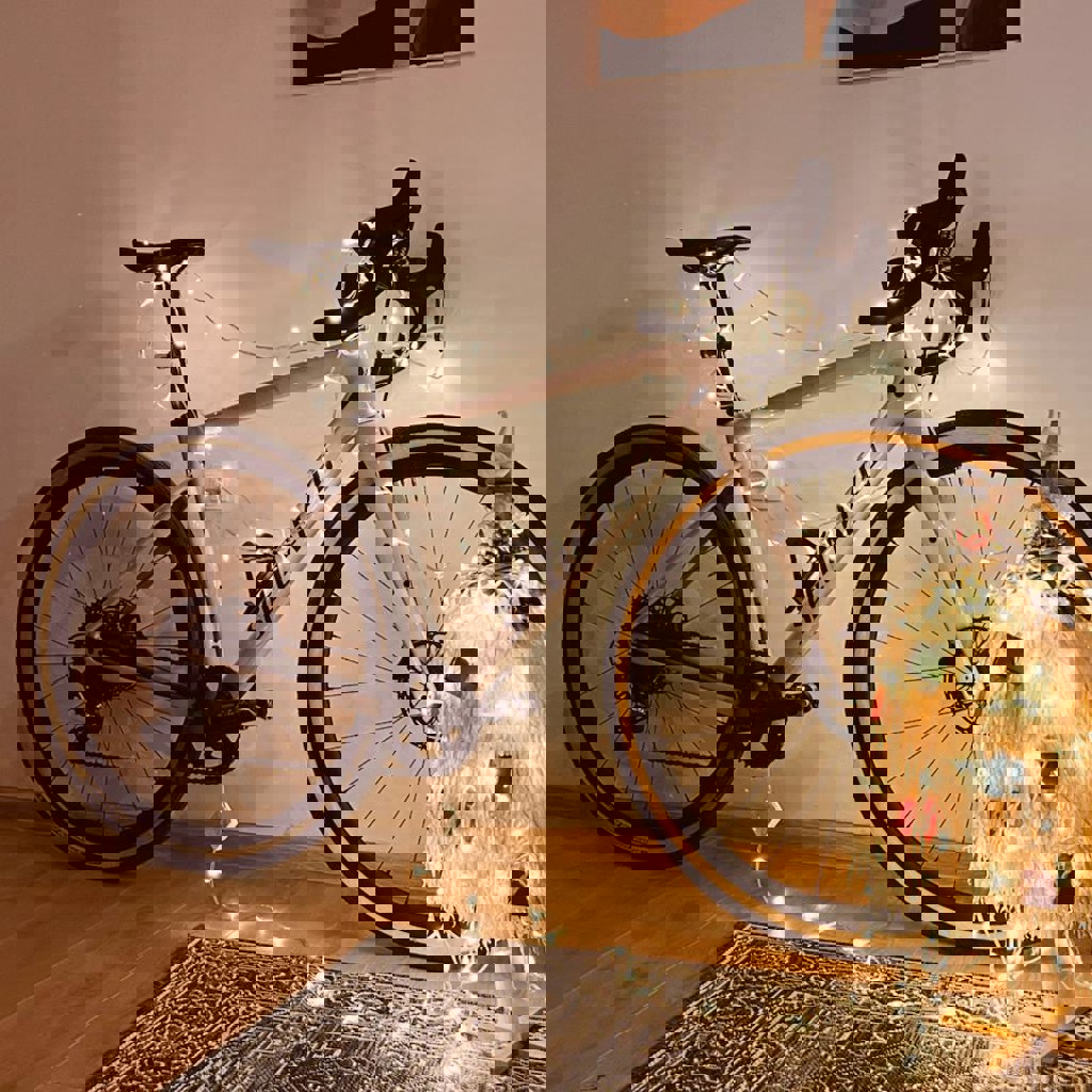 Гревел Specialized Diverge Carbon