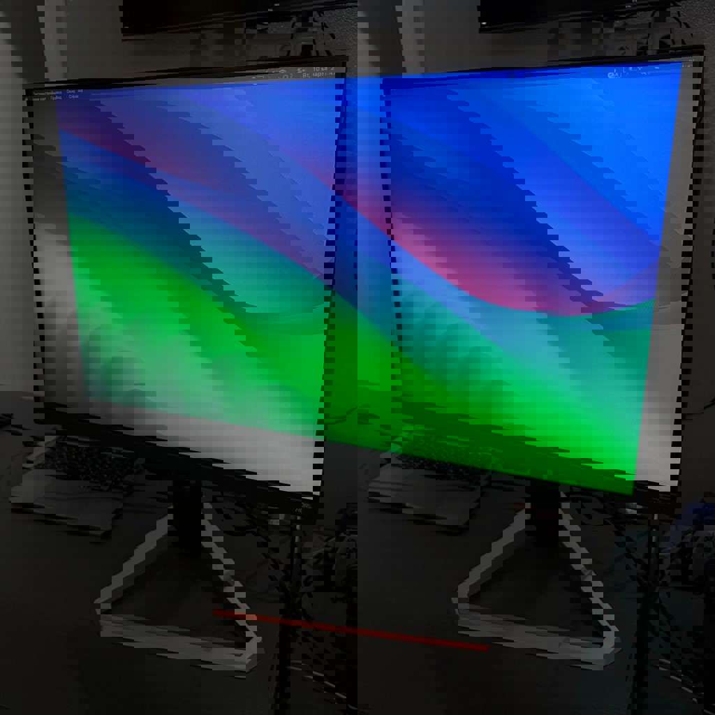 Монитор BenQ MOBIUZ EX2510S