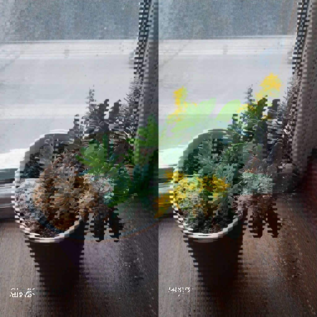 Обувница деревянная