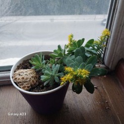 Обувница деревянная - фото 1