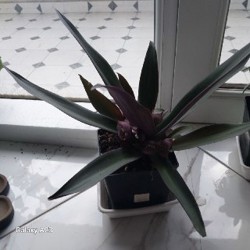 Обувница деревянная - фото 2