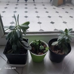 Обувница деревянная - фото 4