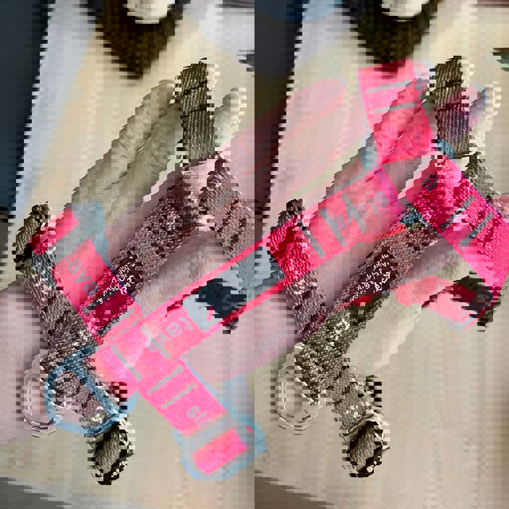 Шлейка стая