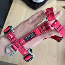 Шлейка стая - фото 1