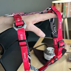 Шлейка стая - фото 2