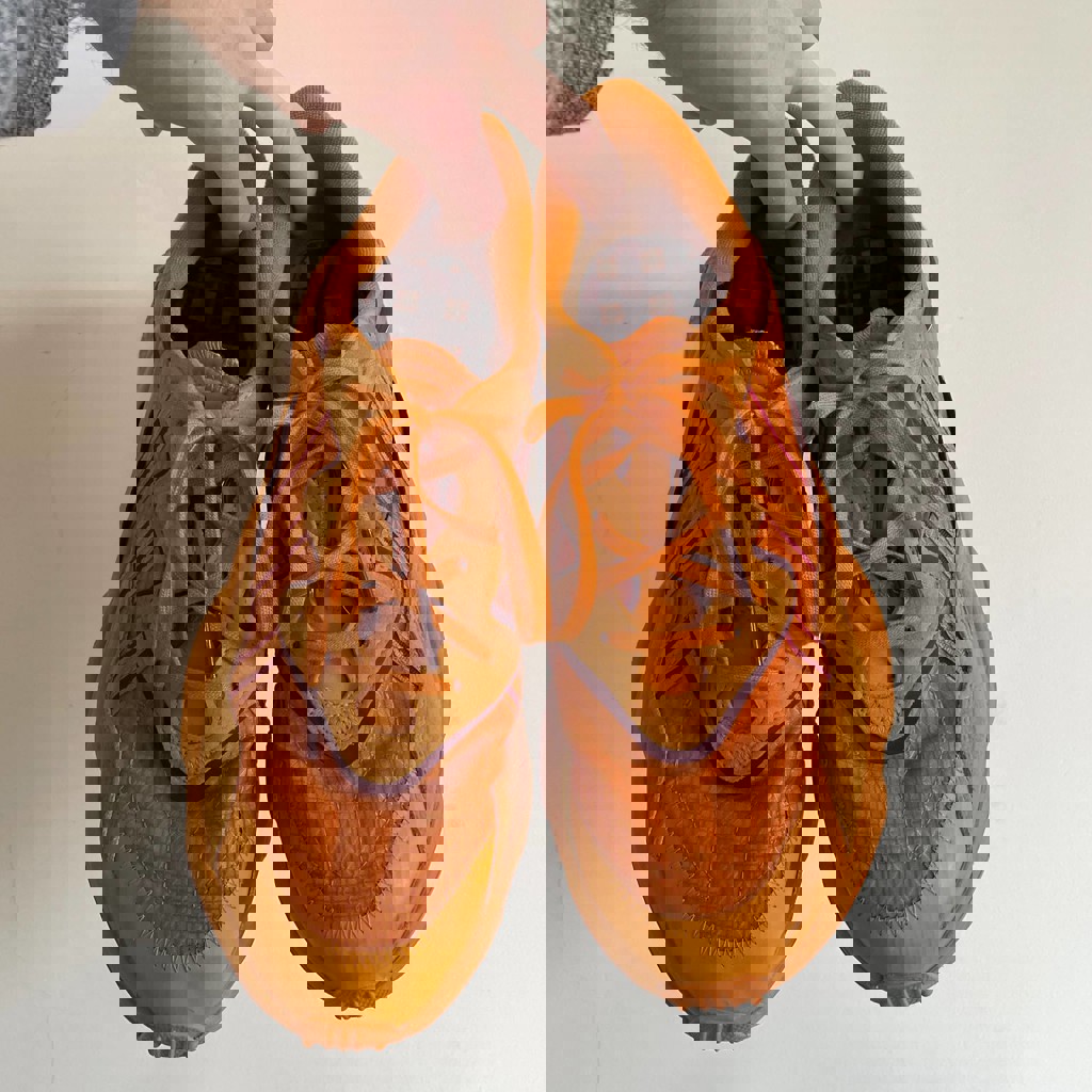 Кроссовки Adidas ozweego