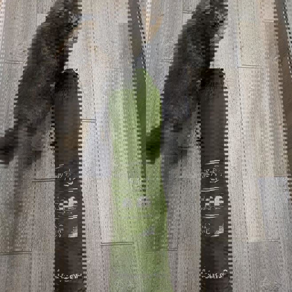 Палатка Quechua Arpenaz 2