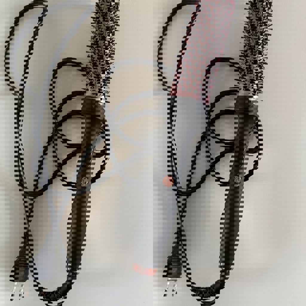 Сумка из страдивариуса