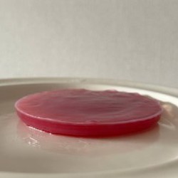 Чайный гриб - фото 2