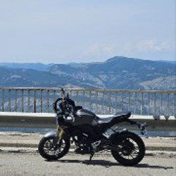 Honda CB300R - фото 10