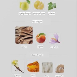 Штаны Dickies женские - фото 8