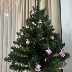 Чехол Switch 2 - фото 1