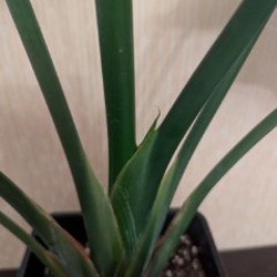 Стрелиция Николая - фото 5