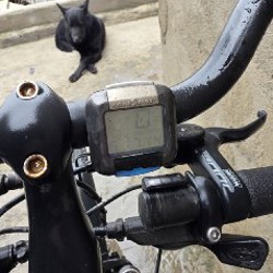 Велосипед Focus Crater Lake - фото 3