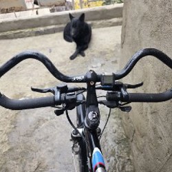 Велосипед Focus Crater Lake - фото 4