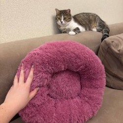 Лежанка для животных - фото 2