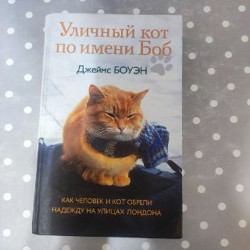 Давай поговорим о том, откуда берутся дети - фото 3