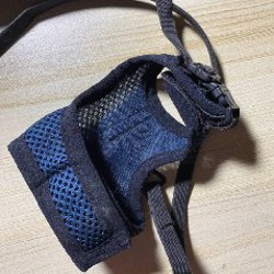 Шлейка для морских свинок, хорьков и маленьких кроликов - фото 4