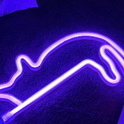 Прожектор луны - фото 2