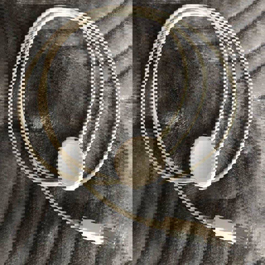 Apple Watch SE (1-го поколения)