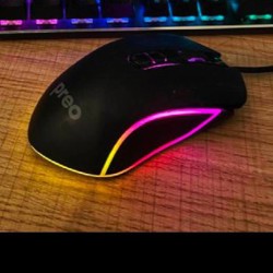 Мышь - фото 2