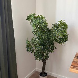 Духовка KUMTEL - фото 2