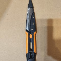 Рассада комнатных растений - фото 1