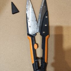 Рассада комнатных растений - фото 2