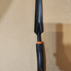 Рассада комнатных растений - фото 3