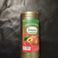 Рассада комнатных растений - фото 4