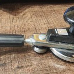 Рассада комнатных растений - фото 5