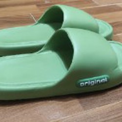 Рассада комнатных растений - фото 6