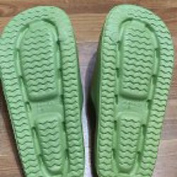 Рассада комнатных растений - фото 7