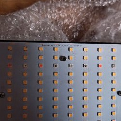 Квантум борд - фото 2