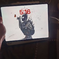 IPad Pro 13 M4 - фото 1