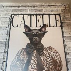 Шкаф Скилетон - фото 2