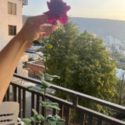 Нарцисс (3 луковицы) - фото 7